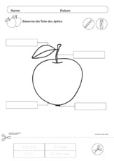 Der Apfel im Unterricht 21.pdf